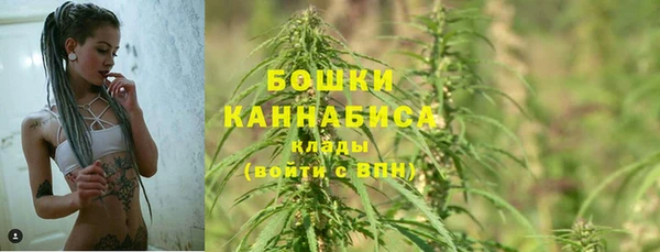 прущий лед Вязники