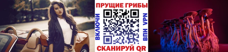 Галлюциногенные грибы мухоморы  Купить закладки  Саяногорск 